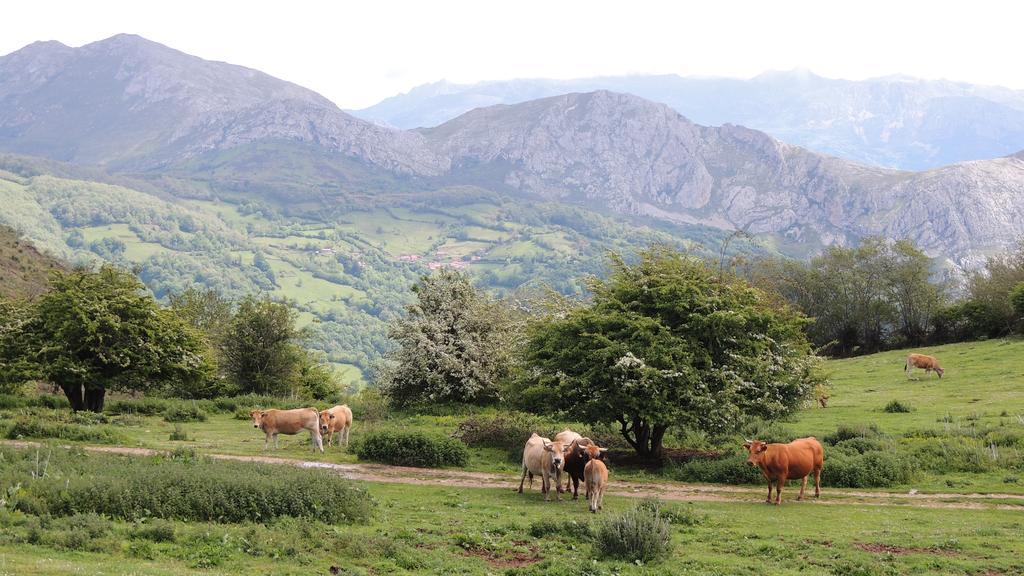 Rurales Balcon Real Senda Del Oso Appartamento *
